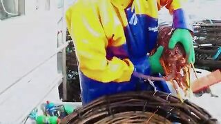 Промысел красного лангуста у юго-западной Тасмании
