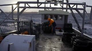 Промысел красного лангуста у юго-западной Тасмании