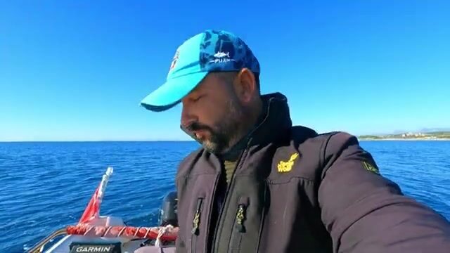 Две сериолы на живого кальмара у Окурджалара в Турции