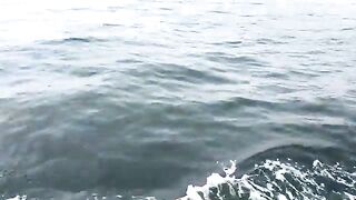 Яньтай: морская рыбалка и выбор лодки для небольшой компании