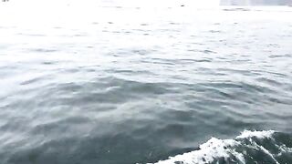 Яньтай: морская рыбалка и выбор лодки для небольшой компании