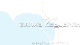 Кендерли, Казахстан: тихое утро у пирса и небольшая рыба