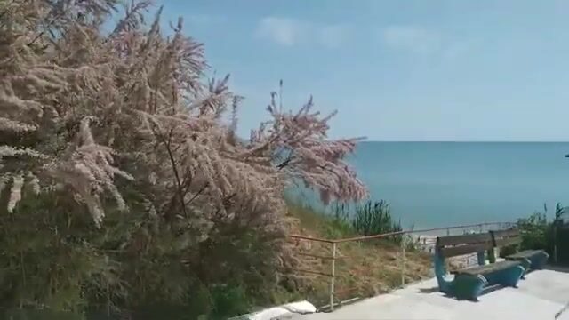 Сборы на рыбалку в Приморске и Бердянске на Азовском море