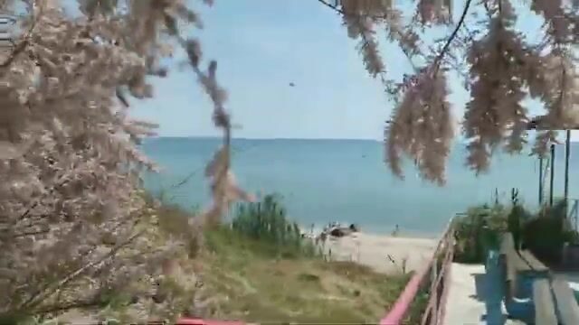 Сборы на рыбалку в Приморске и Бердянске на Азовском море