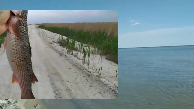 Сборы на рыбалку в Приморске и Бердянске на Азовском море