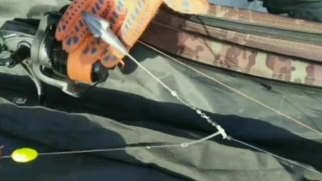 Сборы на рыбалку в Приморске и Бердянске на Азовском море
