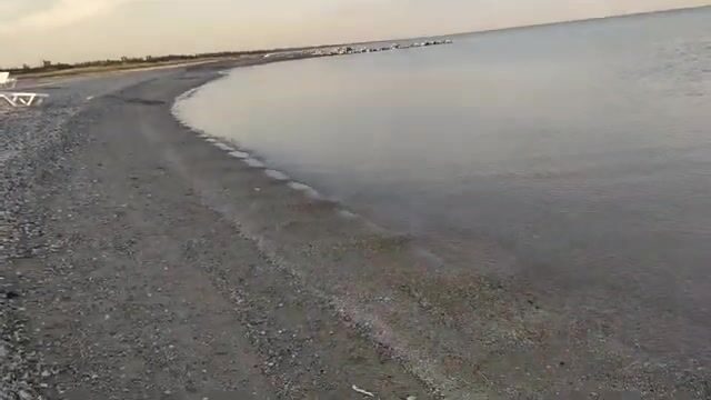 Сборы на рыбалку в Приморске и Бердянске на Азовском море
