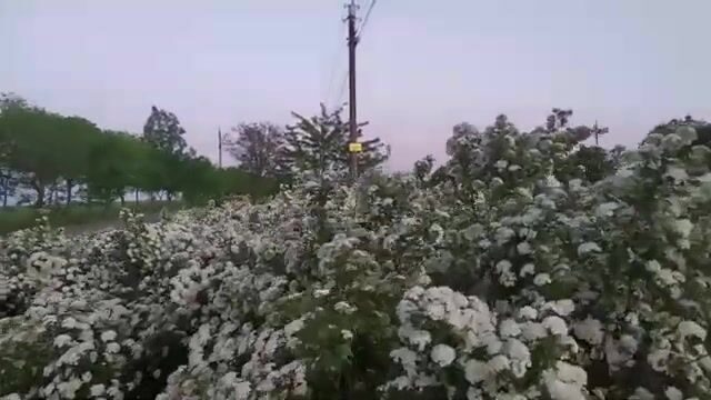 Сборы на рыбалку в Приморске и Бердянске на Азовском море