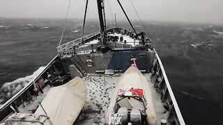 Южный океан: Operation Icefish и другой взгляд на морской выход