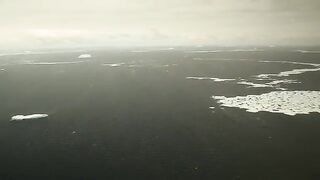Южный океан: Operation Icefish и другой взгляд на морской выход