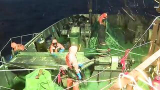 Южный океан: Operation Icefish и другой взгляд на морской выход