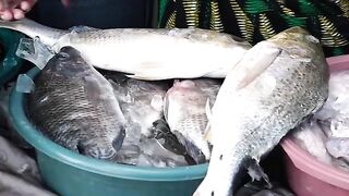 Мапуту: начало рыболовной кампании и подготовка морского дня