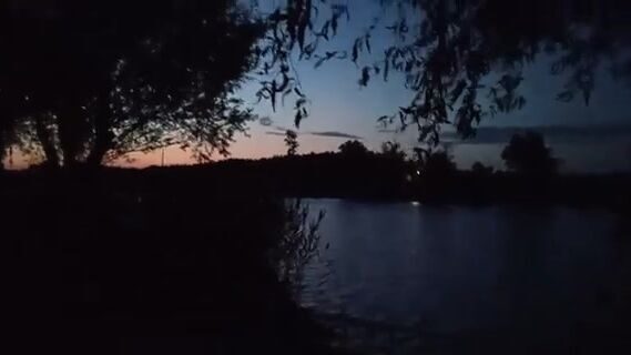Ветреный день на водоеме в Сербии и ночной ежик