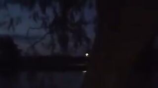 Ветреный день на водоеме в Сербии и ночной ежик