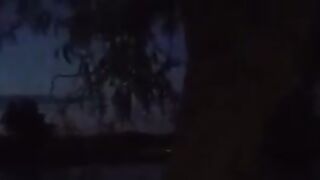 Ветреный день на водоеме в Сербии и ночной ежик