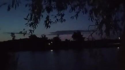 Ветреный день на водоеме в Сербии и ночной ежик