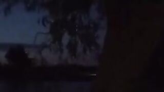 Ветреный день на водоеме в Сербии и ночной ежик