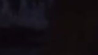 Ветреный день на водоеме в Сербии и ночной ежик