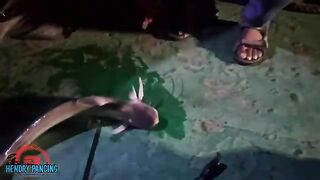 Ловля лаиса: речная рыбалка и подготовка выезда с гидом