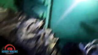 Ловля лаиса: речная рыбалка и подготовка выезда с гидом