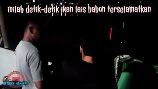 Ловля лаиса: речная рыбалка и подготовка выезда с гидом