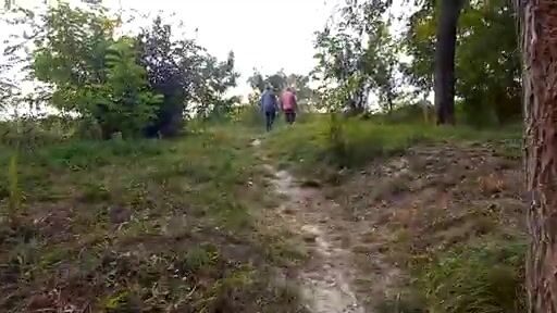 Прогулка по рыболовному клубу и каналу в Црвенке, Сербия