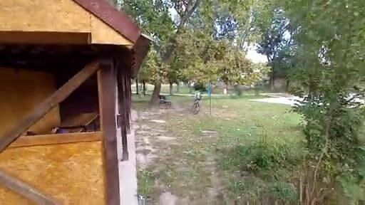 Прогулка по рыболовному клубу и каналу в Црвенке, Сербия