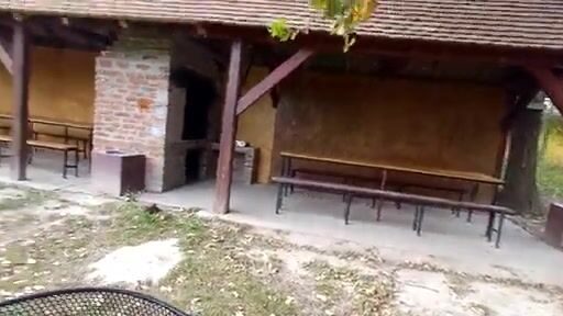 Прогулка по рыболовному клубу и каналу в Црвенке, Сербия