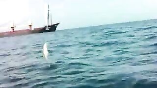 Чакви: грузинское побережье и короткая рыбалка с капитаном