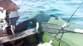 Чакви: грузинское побережье и короткая рыбалка с капитаном