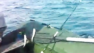 Чакви: грузинское побережье и короткая рыбалка с капитаном