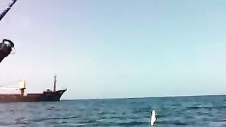 Чакви: грузинское побережье и короткая рыбалка с капитаном