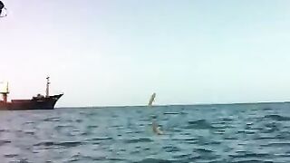 Чакви: грузинское побережье и короткая рыбалка с капитаном