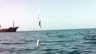 Чакви: грузинское побережье и короткая рыбалка с капитаном