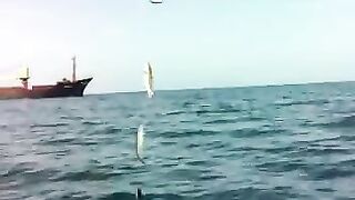 Чакви: грузинское побережье и короткая рыбалка с капитаном