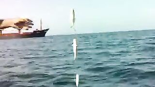 Чакви: грузинское побережье и короткая рыбалка с капитаном