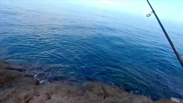 Утренняя ловля ласкирей на скалах в Сарпи, Грузия