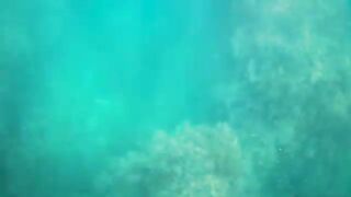 Прасковеевка под Геленджиком: море у Паруса и рыболовный день