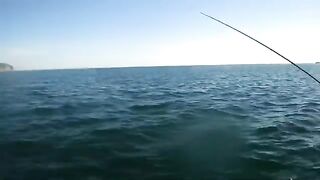 Прасковеевка под Геленджиком: море у Паруса и рыболовный день