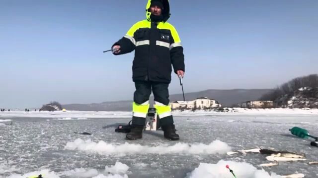 Ловля наваги в бухте Труда на Русском острове