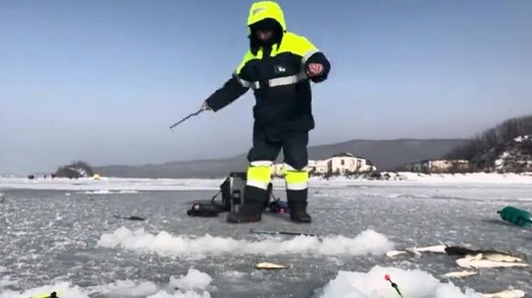 Ловля наваги в бухте Труда на Русском острове