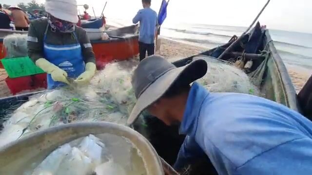 В Хотраме мы встретили лодку с живой рыбой у самого берега