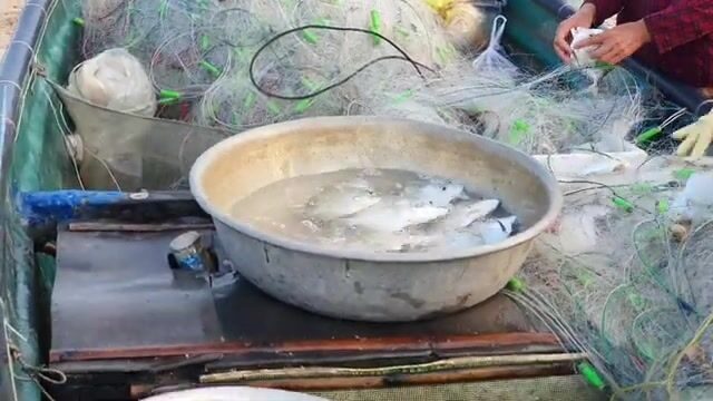 В Хотраме мы встретили лодку с живой рыбой у самого берега