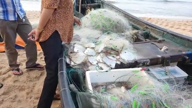В Хотраме мы встретили лодку с живой рыбой у самого берега