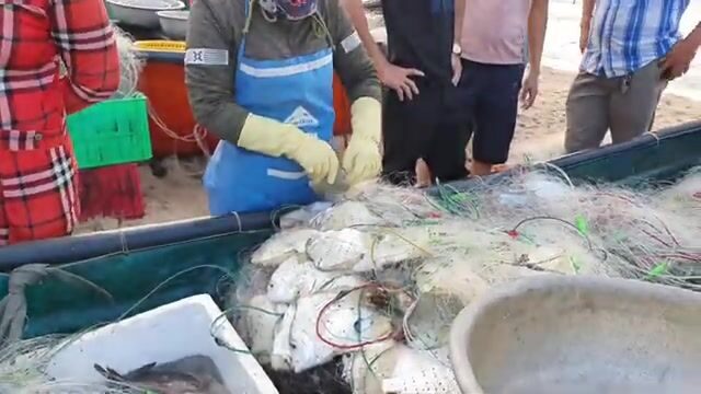 В Хотраме мы встретили лодку с живой рыбой у самого берега