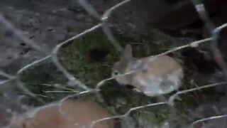 Мацеста и Сочи: от «Вольницы» к отдельному выходу на рыбалку