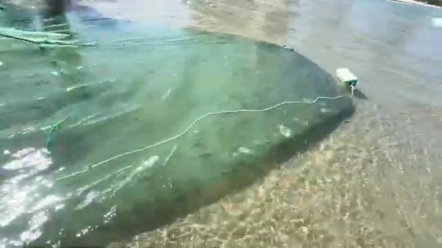 Береговая сеть на пляже Микхе в Дананге