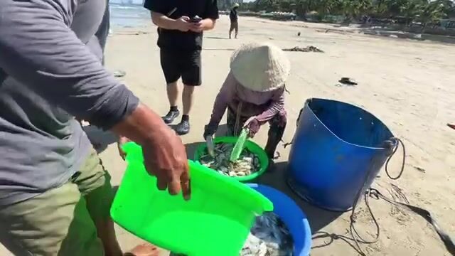 На пляже Микхе в Дананге мы смотрели как выбирают береговую сеть