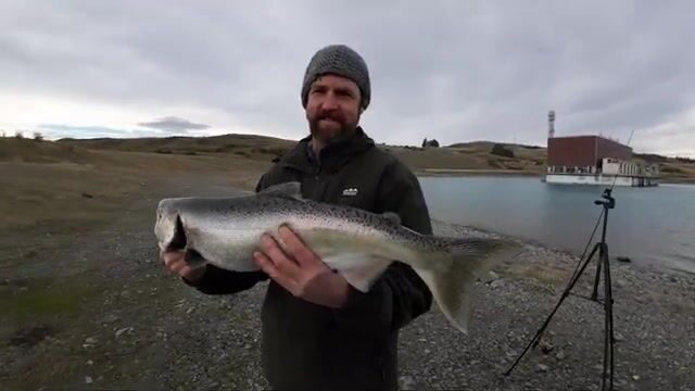 Сходы, крупный лосось и переезд к Fishbowl в регионе Маккензи