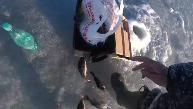 Рыбалка на Онежском озере в Ленинградской области